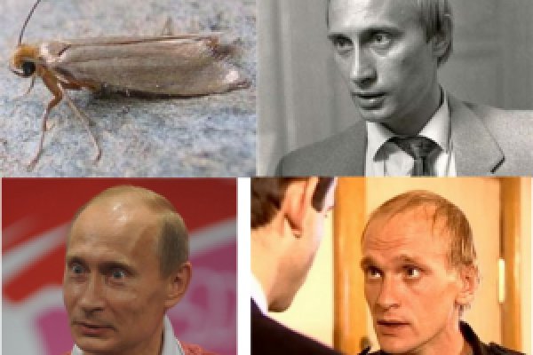 Омг сайт официальный